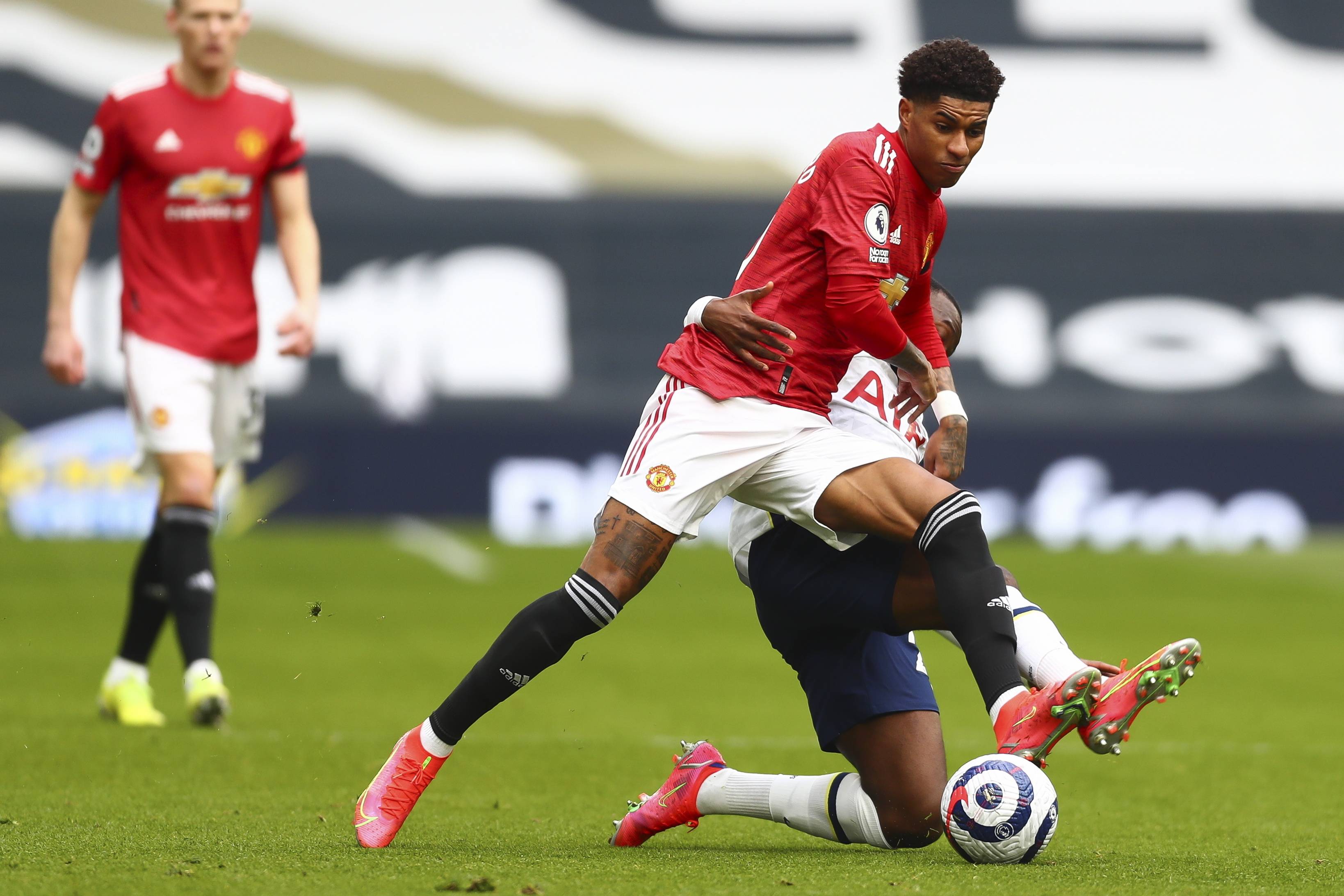 他们有望在 他们有望在